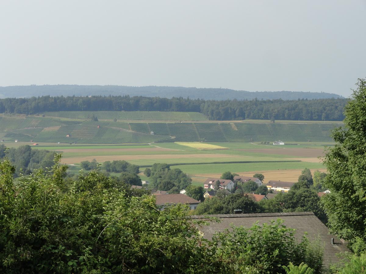 Bed&Breakfast Wegmann Andelfingen Exterior foto